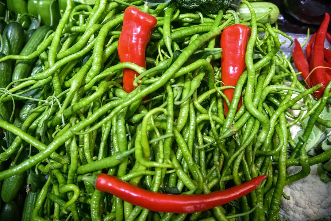 Acı Biberin Fazlası Bakın Neler Yapıyor! 1